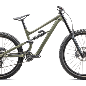 Specialized-Status-170-DH